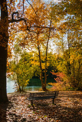 Bank im Park am See. Landschaft am sonnigen Herbsttag