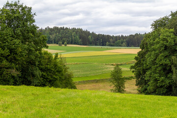 Bavarian Forest scenery