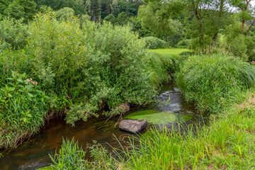 Bavarian Forest scenery