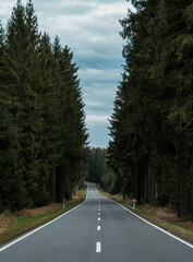 Naklejka premium road through the forest in summer 