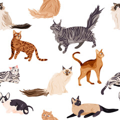 Pattern collection of different cat breeds isolated on white. Seamless texture kitty, feline. Cartoon doodle hand drawn style drawing.