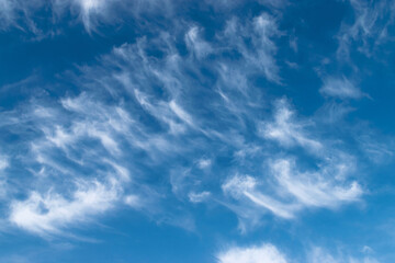 Fototapeta premium White feathery fluffy clouds on a blue sky, background and texture
