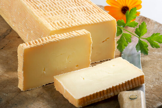 Organic soft cheese from Passeier, South Tyrol
