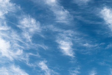 Fototapeta premium White feathery fluffy clouds on a blue sky, background and texture