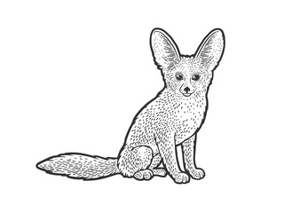 Fennec fox desert animal sketch engraving vector illustration. T-shirt apparel print design. Scratch board imitation. Black and white hand drawn image.