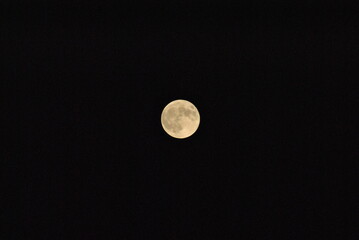 full moon in the night