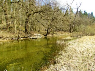 Fototapeta na wymiar Peacuful calm creek rak flowing through Rakov Skocjan