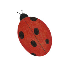 Red ladybug clip art isolated on white background. Hand drawn ladybird illustration painted with color pencils. Cute insect art.