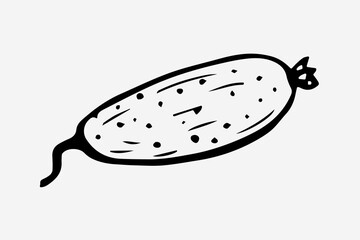 One hand-drawn cucumber design for greeting cards, posters, recipes, cooking design. Isolated on a white background. A drawn vector element. Black and white graphics