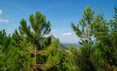 Vista dal sentiero 109AG da Poggio San Romualdo a Castelletta nelle Marche