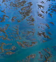 Fototapeta na wymiar Tidal Marsh, Tidal Wetland (MARISMA), Low Tide, Marismas de Santoña, Victoria y Joyel Natural Park, Cantabria, Spain, Europe