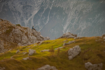 mountains 