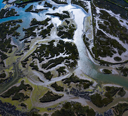 Tidal Marsh, Tidal Wetland (MARISMA), Low Tide, Marismas de Santoña, Victoria y Joyel Natural Park, Cantabria, Spain, Europe