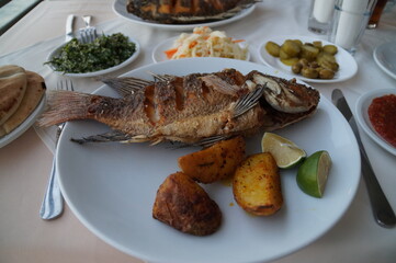 food, fish, plate, grilled, gourmet,  restaurant, salad, 