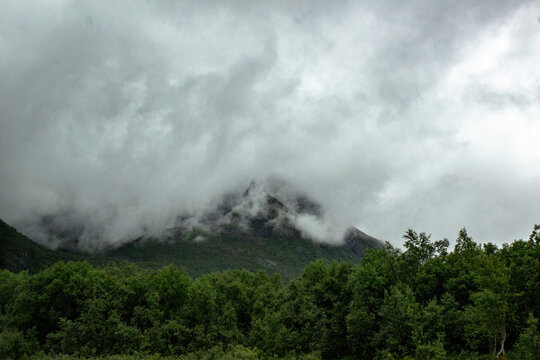 Cloudy morning