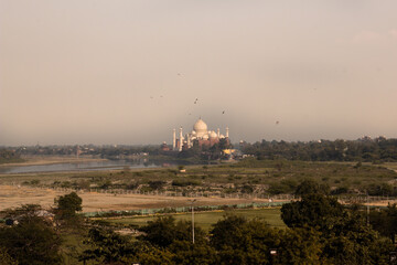 Fototapeta premium Bird view of Taj Mahal