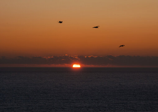 Classico Portugeese sunset