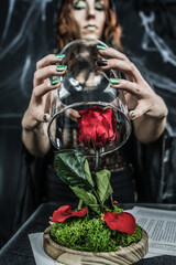 
fantasy photography: eternal rose enchanted by a witch.