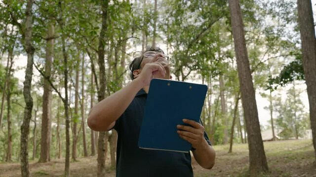 Researchers are walking into academic records within the forest
