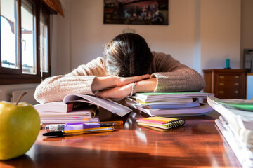 Young female student sleeping on her desk in the bedroom, studying at home. Home concept.