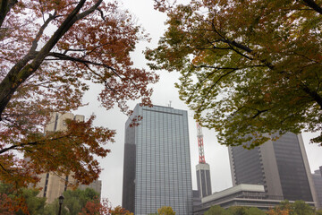 Views from Hibiya park in Tokyo (Japan)
