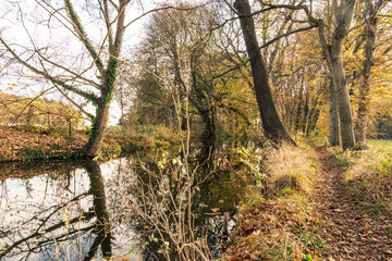 Herbst, Wanderung, Wald