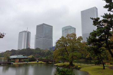 Naklejka premium Famous gardens in Tokyo bay (Japan)