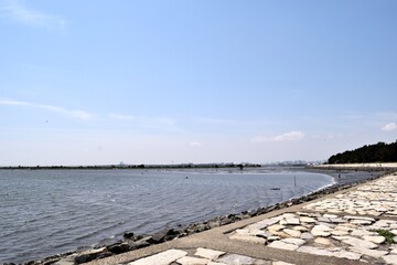 葛西臨海公園 東なぎさ 潮干狩り