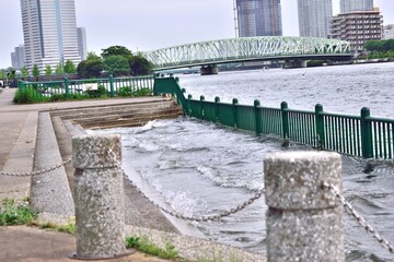 越中島公園 相生橋と隅田川テラス