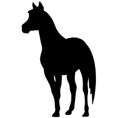 Icon of horse silhouette. Black illustration of mustang stallion	
