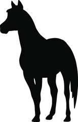 Icon of horse silhouette. Black vector illustration of mustang stallion	
