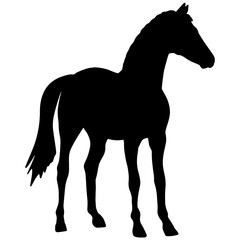 Icon of horse silhouette. Black illustration of mustang stallion	
