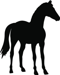 Icon of horse silhouette. Black vector illustration of mustang stallion	
