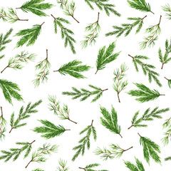 Seamless pattern with winter plants on white background. Green pine tree branches. Hand drawn watercolor illustration.