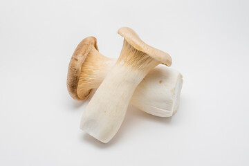 Fototapeta na wymiar Vegetable: King trumpet mushroom (King oyster mushroom). White background.