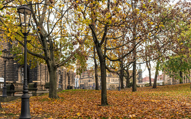 Dresden, Herbst