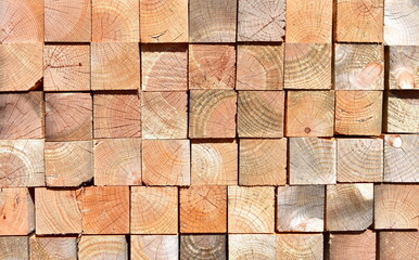 Pine tree cut wood background. Wood texture with sun light.