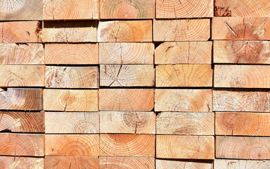 Pine tree cut wood background. Wood texture with sun light.