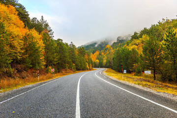 road in autumn forest