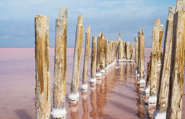 Wooden poles on the pink salt lake Sasyk in the Republic of Crimea, Russia. Sunny day September 27