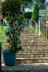 Stone staircase leading to the beach