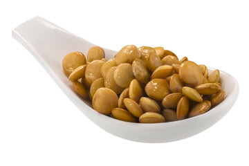 Spoonful of cooked lentils (Lens culinaris seeds)  isolated