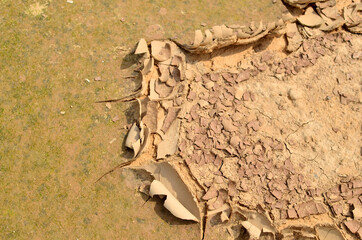Dry lake or swamp in the process of drought and lack of rain or moisture, a global natural disaster. The cracked soil of the earth due to climate change. Hydrological drought, ccological catastrophy