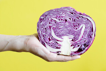 Obraz premium Man hand showing a red cabbage against yellow background