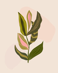Abstract leaves background vector illustration with leaves.