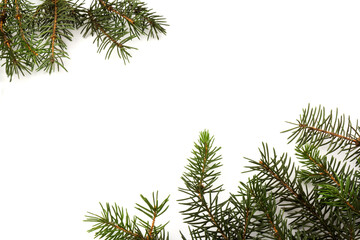 Obraz premium Pine branches isolated on white background, seamless pattern. Christmas and New Year background.