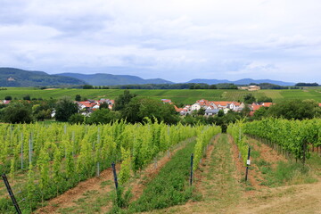 Fototapeta na wymiar View from the vineyards to a small village on the german wine route in the palatinate