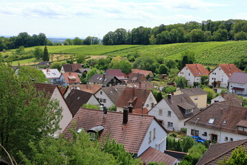 Fototapeta na wymiar View from the vineyards to Pleisweiler on the german wine route in the palatinate