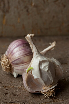 Garlic