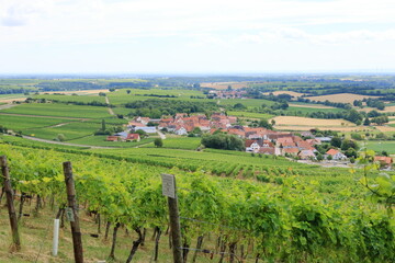 Naklejka premium View from the vineyards to Pleisweiler on the german wine route in the palatinate